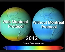 Ozone and Protocol copy