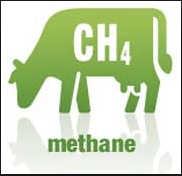methane copy