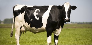 cow-with-euro-copy