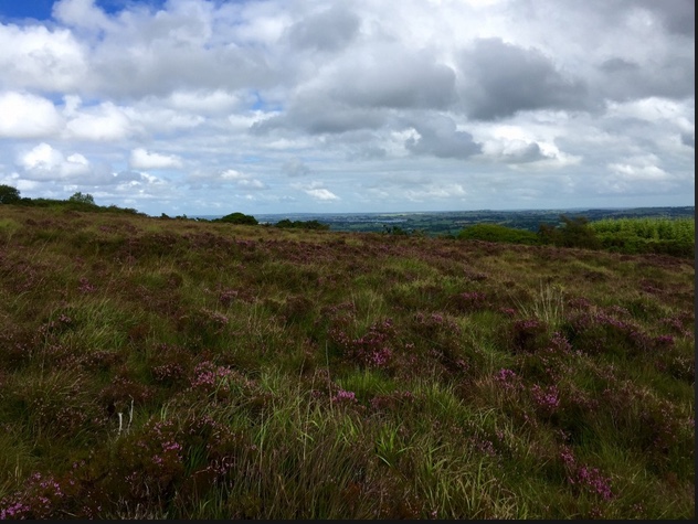 » Special Areas of Conservation (SAC)