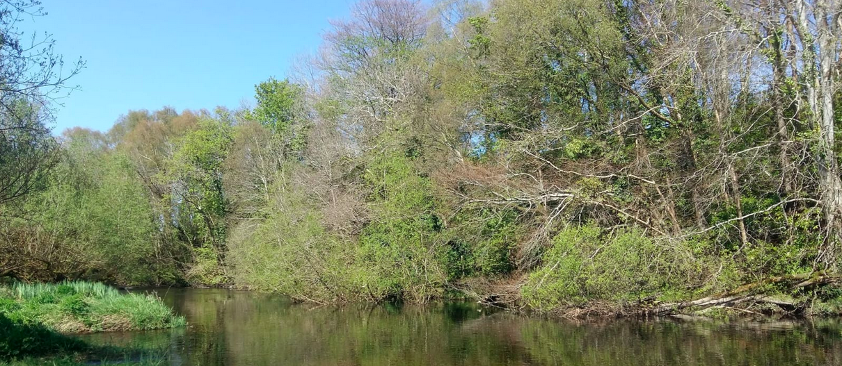 » An Taisce action on Kilkenny cheese factory planning decision